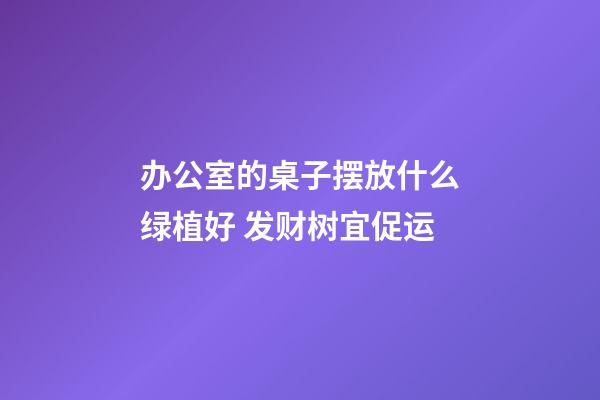 办公室的桌子摆放什么绿植好 发财树宜促运